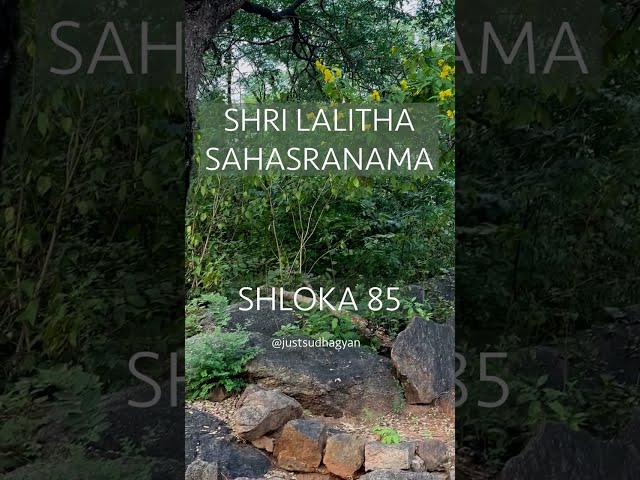 Shri Lalitha Sahasranamam Shloka 85 |नित्यक्लिन्ना निरुपमा निर्वाण सुखदायिनी  |Just Sudha Gyan