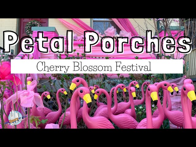 Petal Porches #shorts