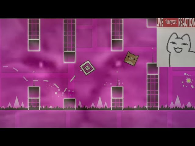 Cat Jumper Meme (Cat jumping) Full Version