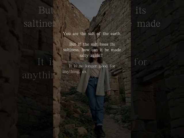Salt of the Earth (Matthew 5 Reading)
