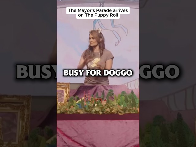 The Doggos meet the Mayor of Doggoland    http://bit.ly/theppuppyroll