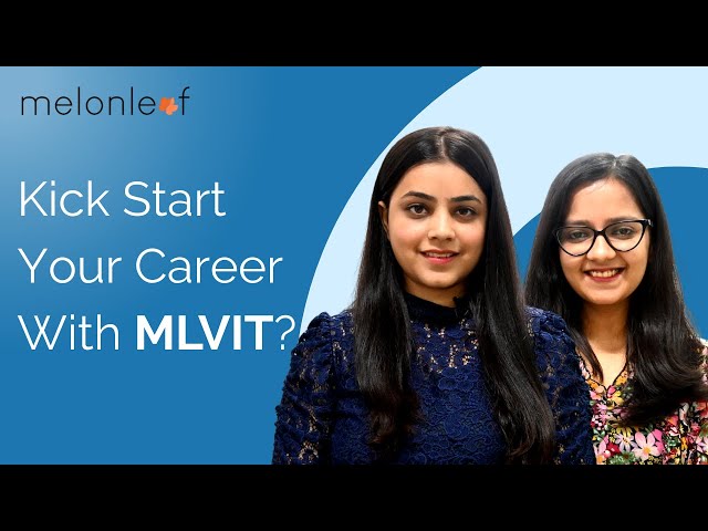 Melonleaf - MLVIT Explained