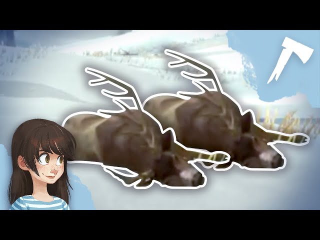Double Downed Deer | The Long Dark (Blackrock 50 Days - 2/5/22)