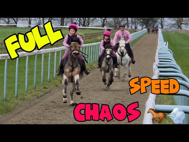 Gallops Day Chaos at Kelsall Hill 🐎💨