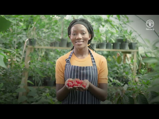 Smart farming – Innovations for a sustainable future