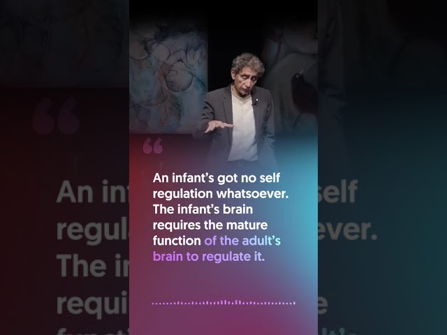 Dr. Gabor Mate on The Importance Of Emotional Regulation In Parenting