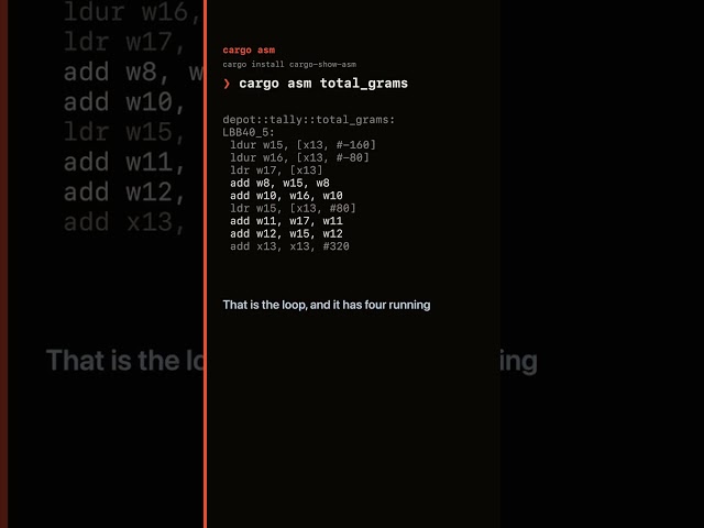 cargo asm: see the machine code your loop becomes