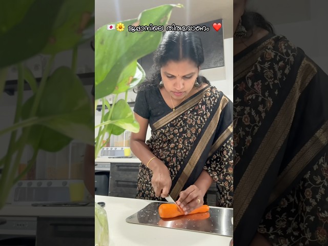 🇯🇵🌼 ജപ്പാനിലെ തിരുവോണം | Onam in Japan ❤️Part -1