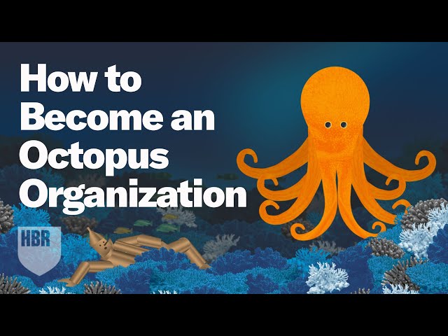 From Rigid to Resilient: Why You Need to Lead Like an Octopus