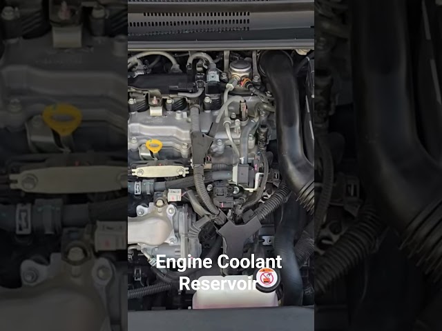 Engine Coolant Reservoir