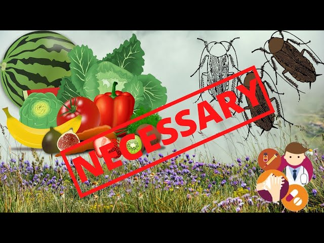 Introduction to Parasites