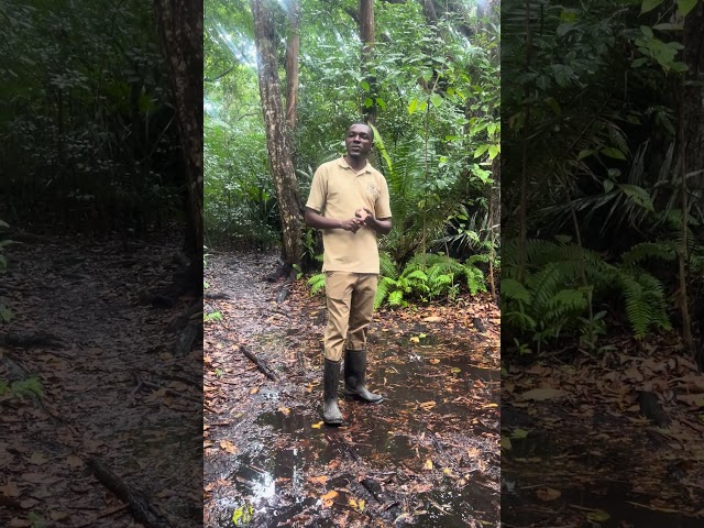 5. Our Guide