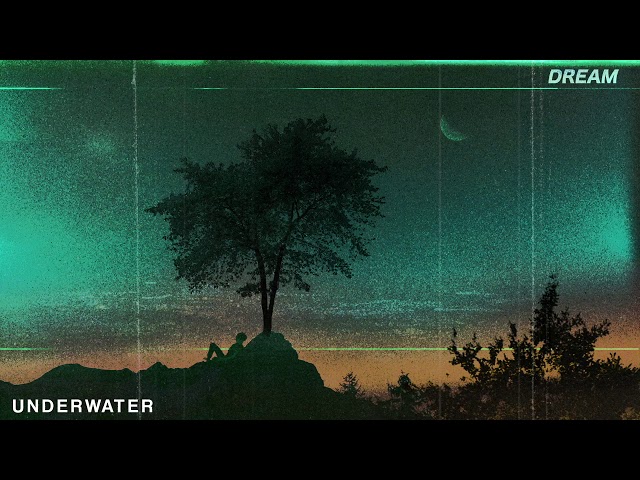 sapientdream - underwater