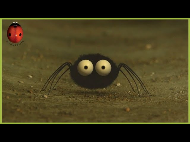 Labyrinth | Minuscule | S02E69
