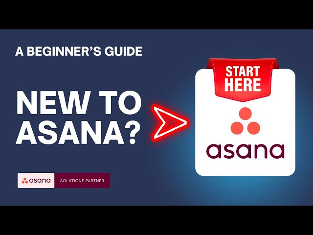 Asana for Beginners ✅ Key Terms You Need to Know to Get Started