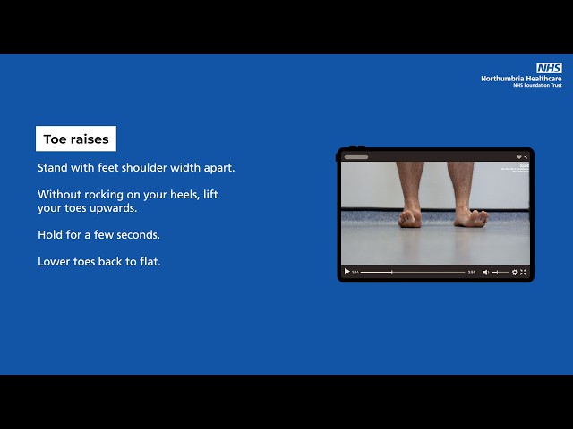 Toe raises