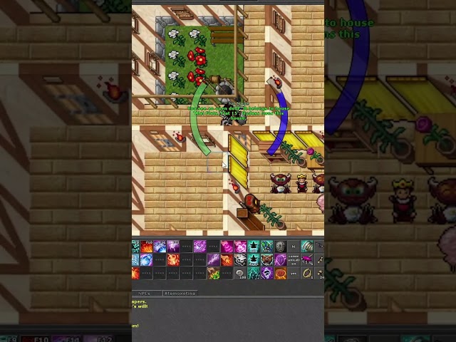 🕹️VOCÊ LEMBRA DE ETERNAL OBLIVION 🕹️ A LENDA DO TIBIA #tibia #mmorpg #games #curiosidades #dicas