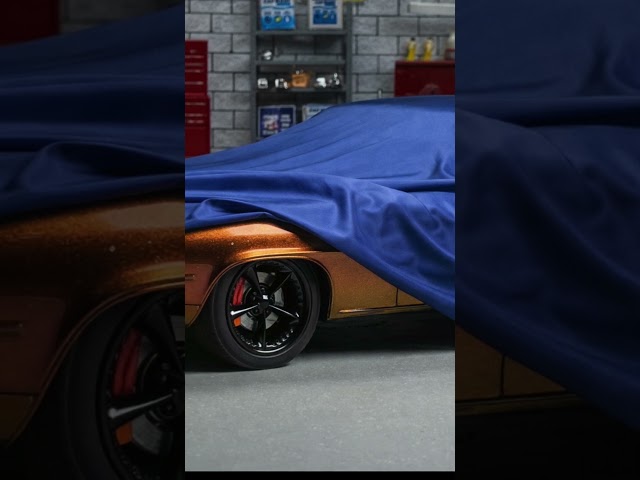 2026 USACC SHORT CAMARO Reveal
