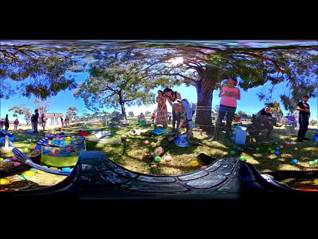 Ferret play day Feb 2019 - 360 VR video 1