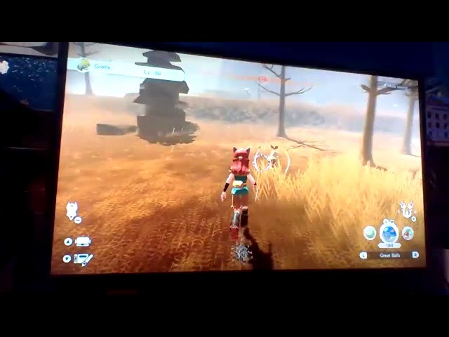 pokemon