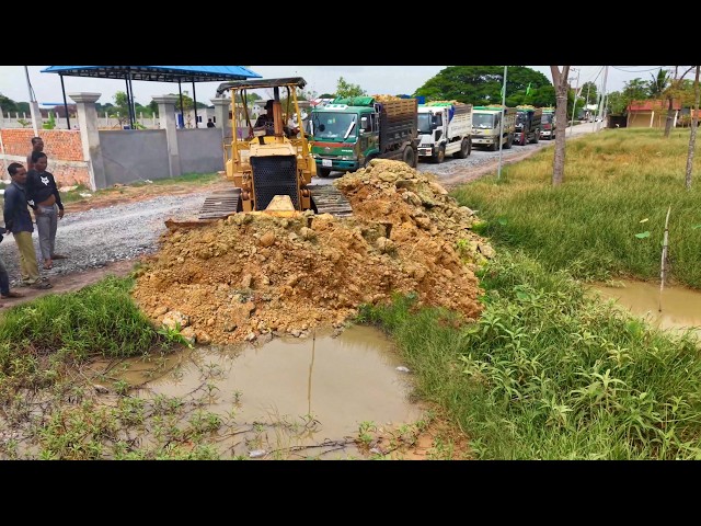 OMG!STARTED NEW PROJECT BUILDING NEW ROAD BY DUMP Truck Loading With Skillful Dozer D31 Pushing Soil