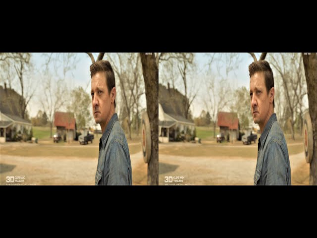 Hawkeye's Family Vanishes • Endgame 3D 4K • 5.1 Audio