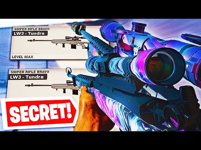 How to get DOUBLE SNIPERS in 2025 (Black Ops Cold War)