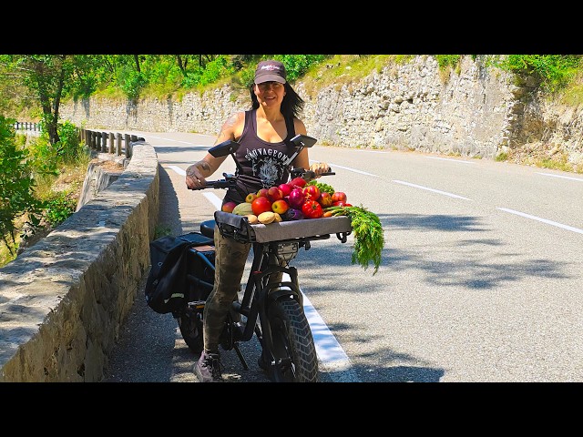Goodbye Car, Hello Electric Bike! (With the FIIDO T2)