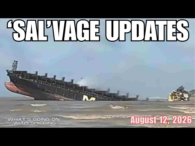 "SAL"vage Palooza: Ten Ongoing Salvage Missions & Starship 40 Update