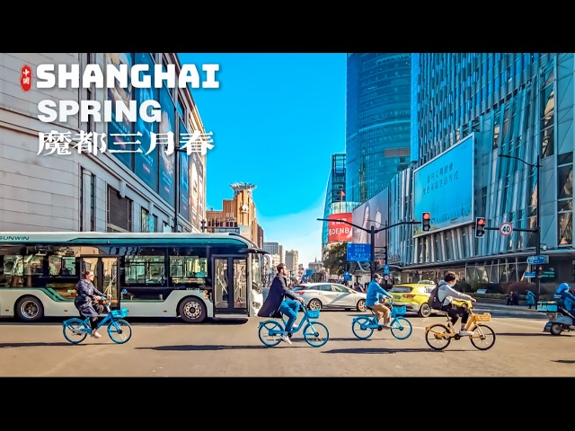 Shanghai Spring Walking Tour 2026 | Huangpu District  4K HDR