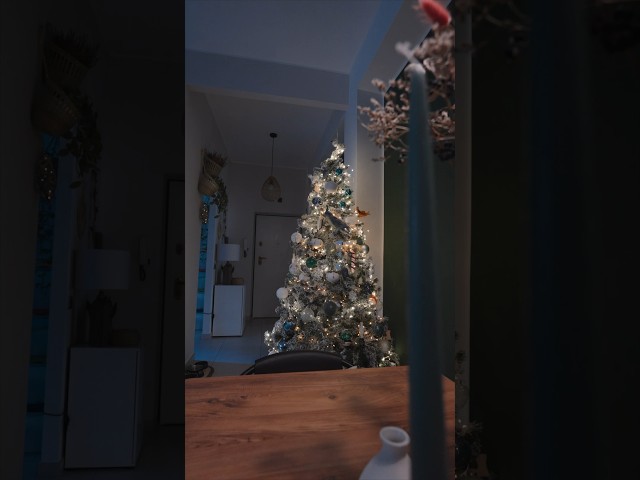 Il nostro albero di Natale 🌲♥️🎅🏼