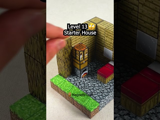 How to Make a Starter House with MAGNETIC Minecraft BLOCKS 🧲