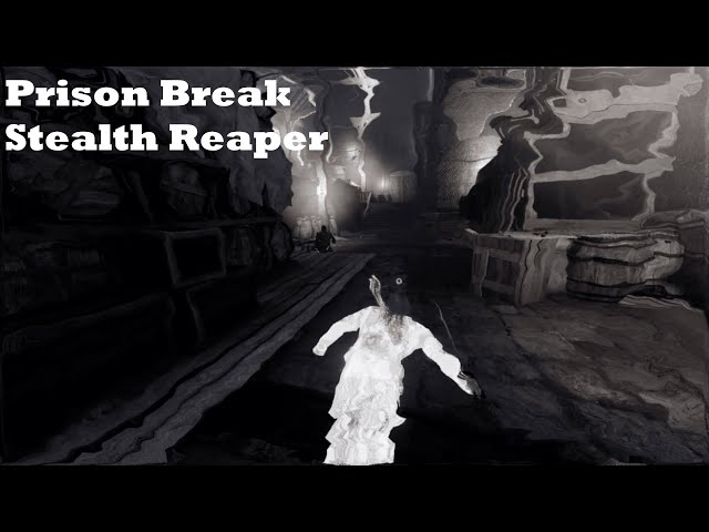Prison Break - Stealth Reaper | AC3 Remastered (TOKW DLC)