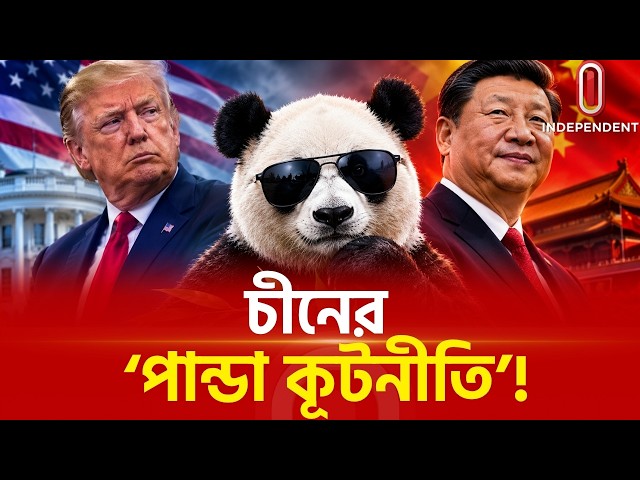 যুক্তরাষ্ট্রকে ‘পান্ডা কূটনীতি’তে কাবু করলো চীন! | China Panda | Independent TV