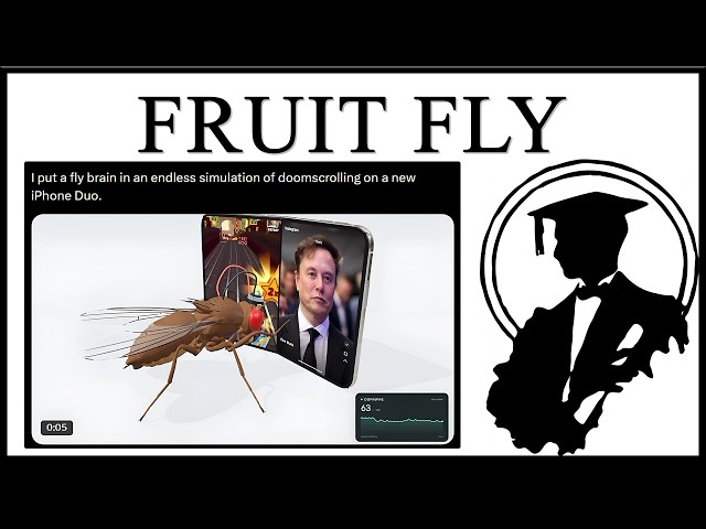 They Forced A Fruit Fly Brain To Doomscroll