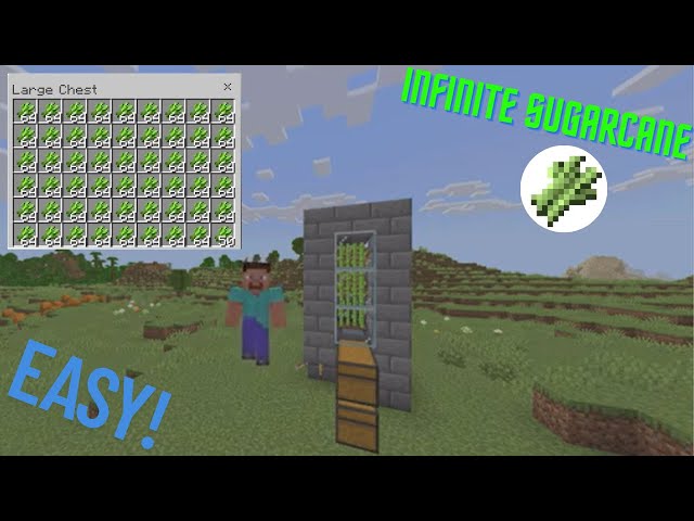 EASIEST AUTOMATIC SUGARCANE FARM TUTORIAL IN MINECRAFT - BEDROCK 1.21 (Mobile/Xbox/Ps5/Switch)