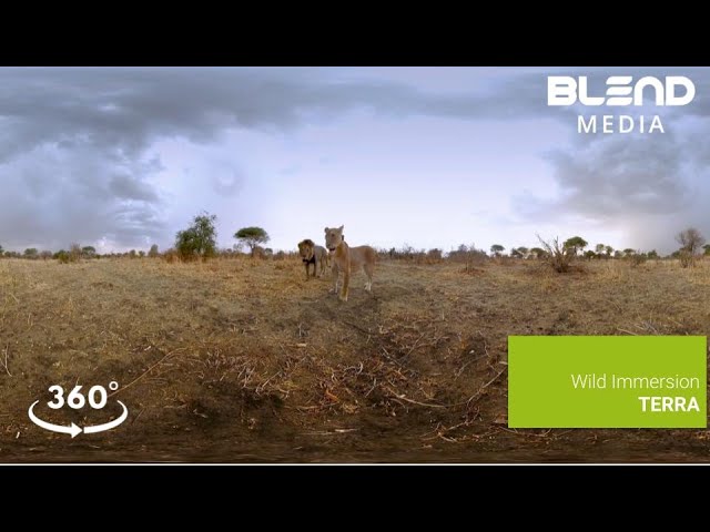 Wild Immersion: Terra - Teaser