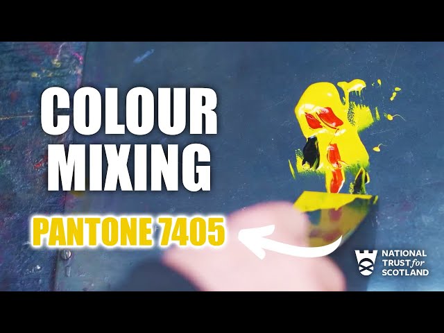 Colour Mixing ASMR | Pantone 7405  | Satisfying Letterpress Printing at Robert Smail’s