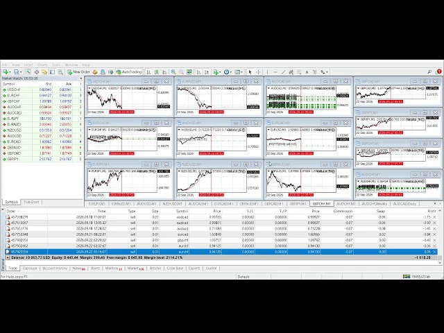 Forex Trading, Algorithmic Trading