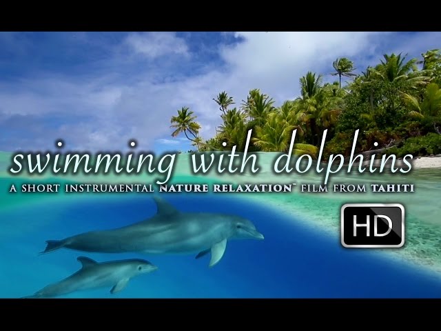 [HD] Swimming With Dolphins HEALING THERAPY Nature Relaxation Video - Tahiti