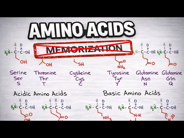 Amino Acids on the MCAT: Side Chain Logic, Structure, and Properties [LIVE RECORDING]