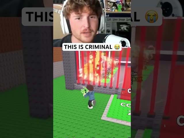 Sammy STEALS Caylusβ Dragon π