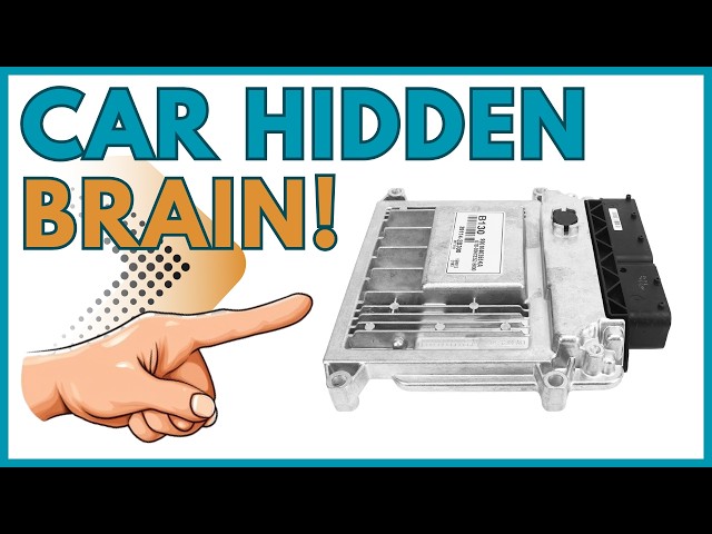 How an Engine ECU Works | Car Brain Explained
