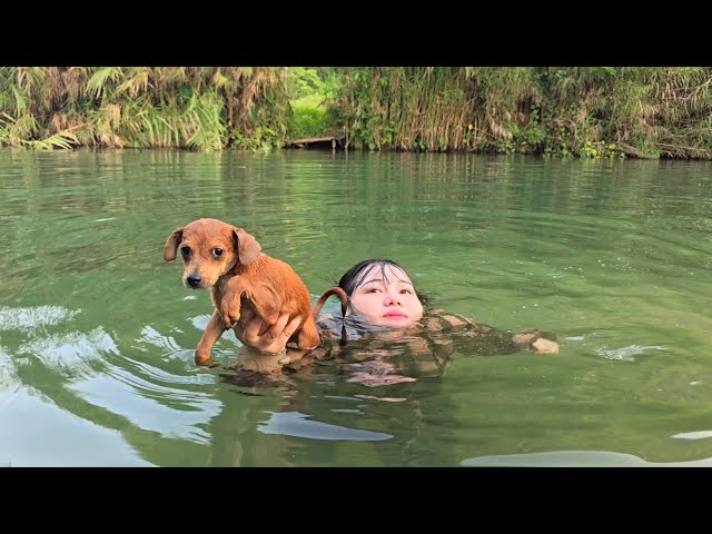 The dog was overjoyed after receiving help from Giang in the middle of the river.
