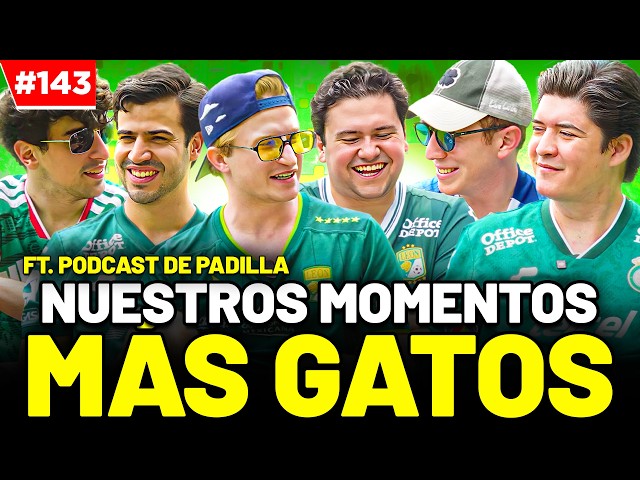 Nuestros MOMENTOS más GATOS