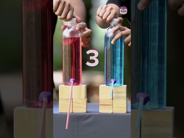 Which Bottle Would Empty First? | Fastest Way to Empty a Water Bottle | Science Experiments for Kids