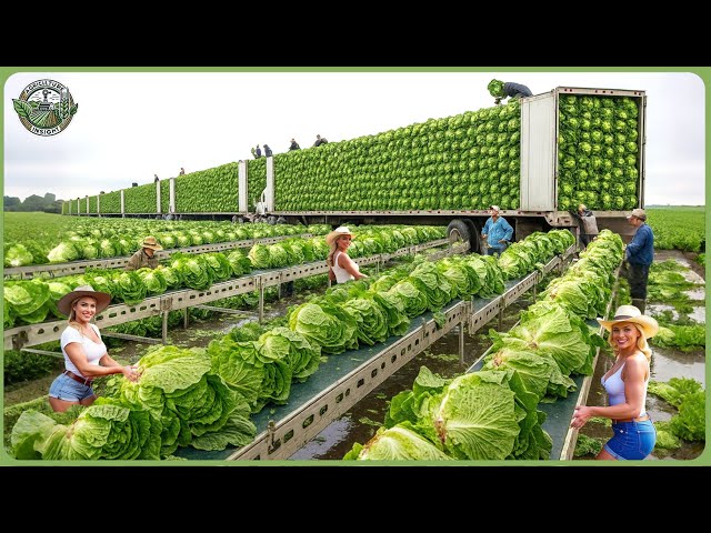 31+ Incredible Farming Technology You’ve Never Seen   How Farmers Produce Billions Tons of Food ▶ 1