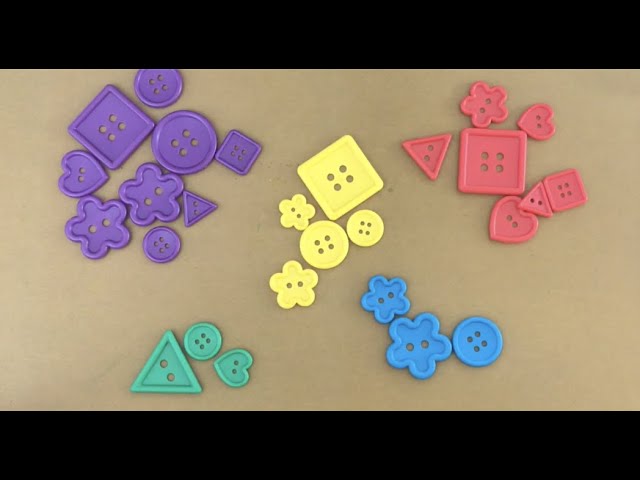 Kids | Sort | Classify | Attributes | Similarities | Differences
