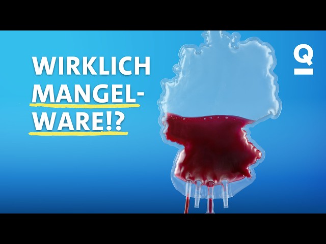 So lösen wir die Blutknappheit in Deutschland | Studio Q