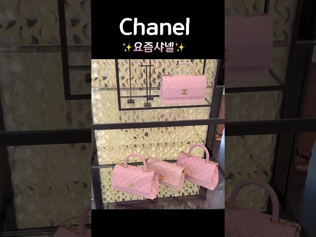 요즘샤넬, Chanel Buzz